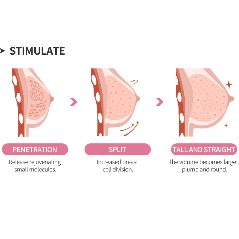 Natural Breast Enhancement Oil - Body Oil ulasan dan harga